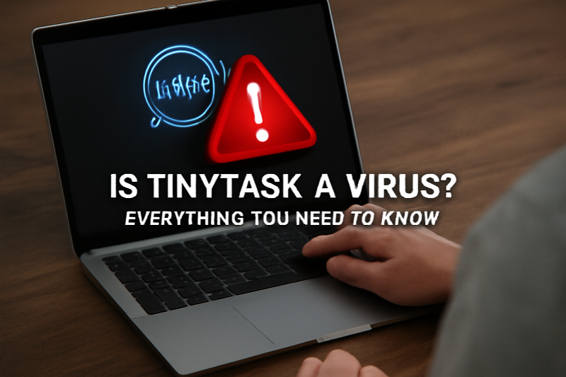 is TinyTask a Virus